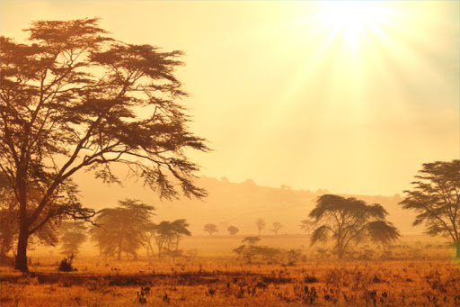 south africa landscape