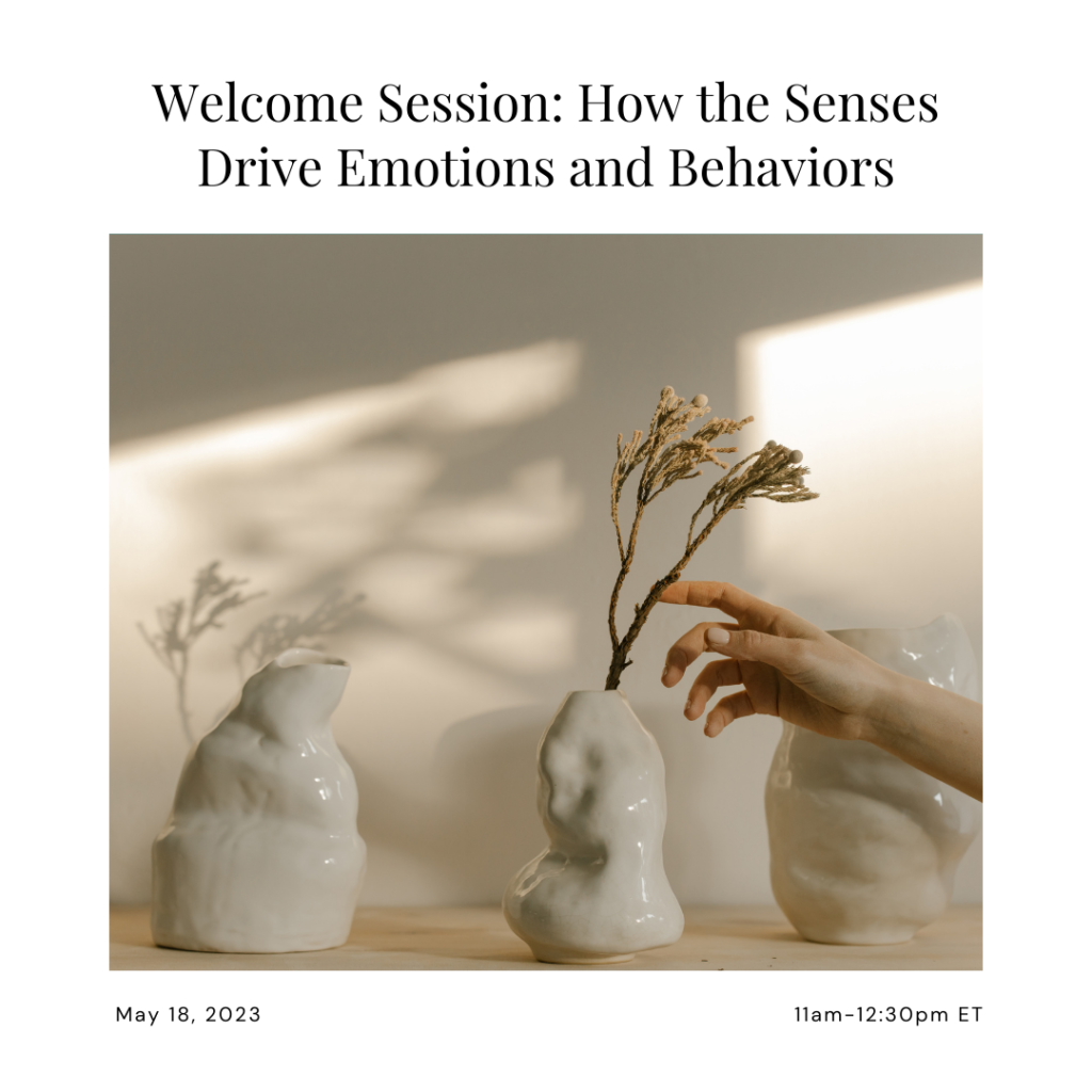 How the senses drive emotions and behaviors workshop